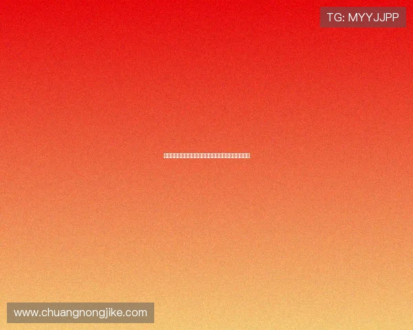 斯图加特与霍芬海姆对决分析：战术布局与关键球员对比