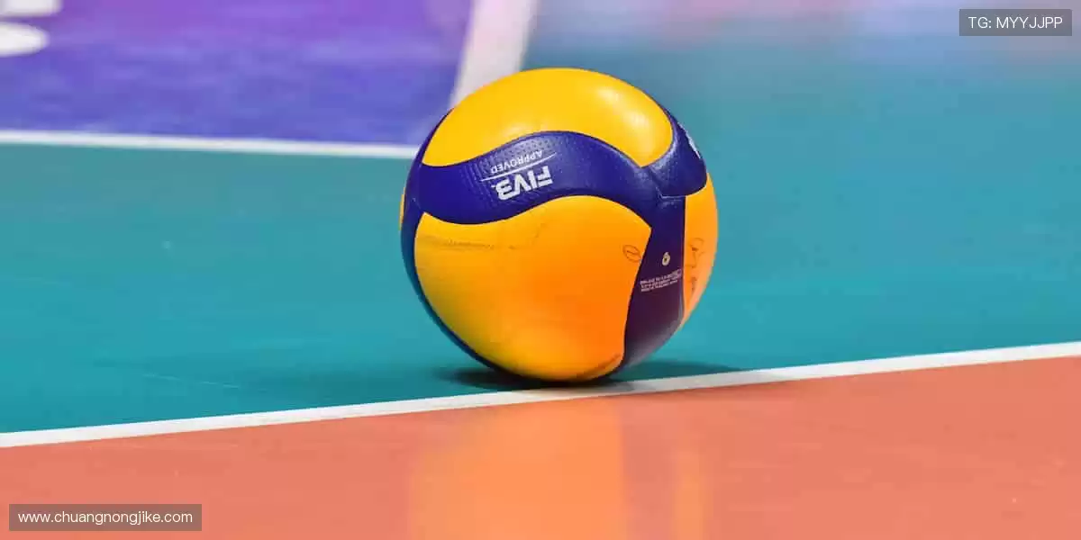 🏆官方正品，解锁你的运动潮流！🎁